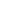 iconActive